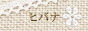qoi